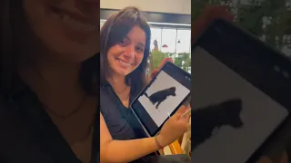 When you love him but he loves someone else 💔 #dogshorts