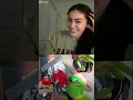 KERMIT RUINS CHILDHOOD on OMEGLE PART 16