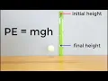 The Physics of Bouncing a Ball Science Project