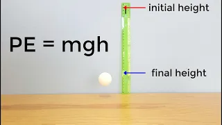 The Physics of Bouncing a Ball Science Project