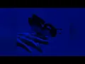 Harrison - Here Comes The Rush (Slowed)