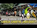 Download Lagu NEGO PARAH ! SAMPAI JADI KONDISI TERBARU BURUNG GACOR PASAR BURUNG PRAMUKA HARI INI