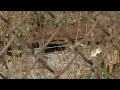 Cleaning up a contaminated site