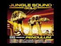 Jungle Sound Gold - Mixed by Pendulum ( Full Mix )