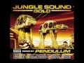 Download Lagu Jungle Sound Gold - Mixed by Pendulum ( Full Mix )
