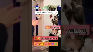 قطة ترقص مع بوحة سيد يأ سيد 