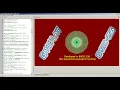 Action Game Dodge Contact Gameplay BASIC - 256 or BASIC256 Graphics Output Programming