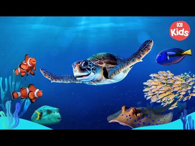 ? NEW Show! Welcome to #ReefSchool ??| Reef School | ABC Kids