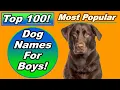 Top 100 Dog Names For Boys with Meanings and Origins