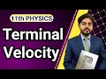Terminal Velocity class 11 | National book foundation | NBF | for all boards | in urdu | in hindi