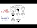 Cladogram Activity