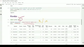 How to read excel file in Python