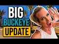 Major Buckeye Update Safeway Confirmed Near Sun City Festival Teravalis