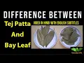 Difference Patta and Bay Leaf Tej Patta Vs Bay Leaf Everyday Life