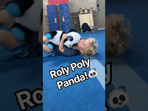 Roly Poly Panda 🐼