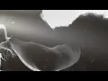 @troyesivan - Angel Baby (Visualizer) Malaysia Edition