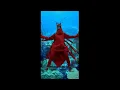 Peggy Gou - Lobster Telephone [𝙎𝙡𝙤𝙬𝙚𝙙 + 𝙧𝙚𝙫𝙚𝙧𝙗]