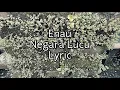 Download Lagu Enau - Negara Lucu (Lirik)