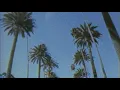 {slowed} pineapple skies - miguel