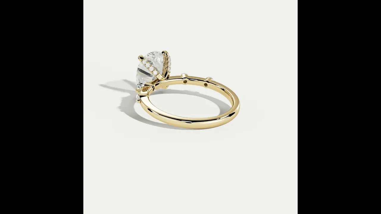 Remy丨Oval Lab Diamond Hidden Halo Engagement Ring with Floating Diamond Accents