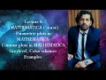 Parametric plots in MATHEMATICA Contour plots in MATHEMATICA Color schemes and Examples