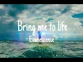 Bring Me To Life - Evanescences