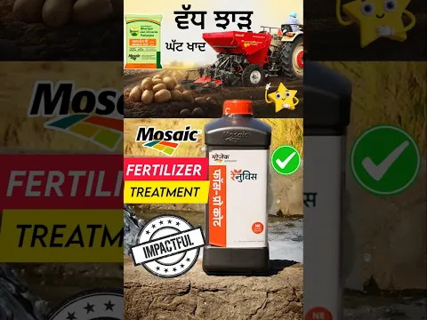 ਆਲੂਆਂ ਚ ਘੱਟ ਖਾਦ ਨਾਲ ਵੱਧ ਝਾੜ mosaic renuvis use in potato #shorts
