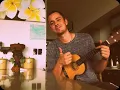 Rise - Gabrielle - Ukulele cover