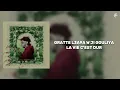 Shaw FT Kira7 - PETASSA LA VIE (Lyrics Video)