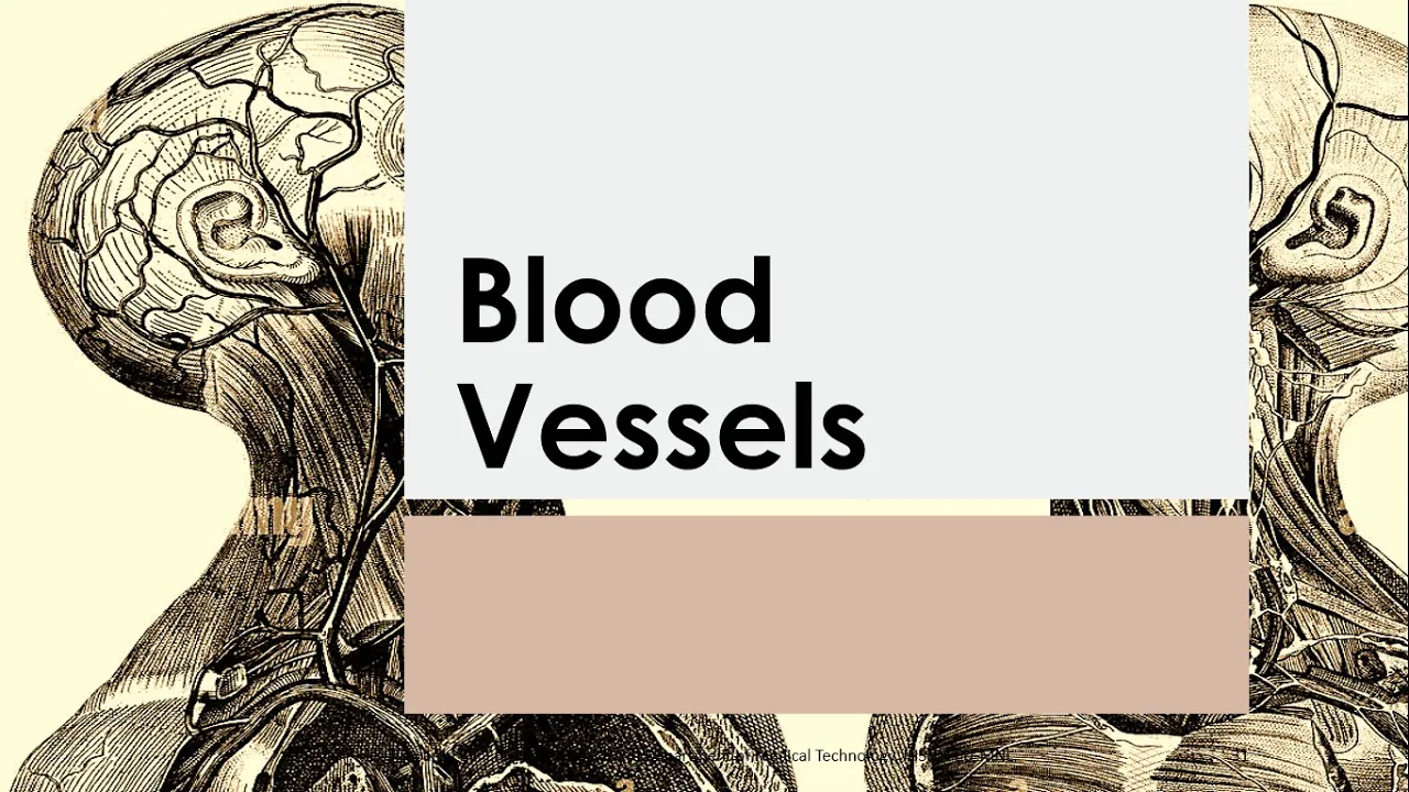 Basic Anatomy & Physiology 13 | BLOOD VESSELS Reference Seeley's