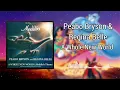 Download Lagu A Whole New World - Peabo Bryson \u0026 Regina Belle
