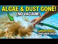 Remove Pool Algae and Dust WITHOUT a Vacuum Garden Hose Hack That Actually Works