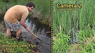 Watch As Unclogging Flow Pushes Over Cattails