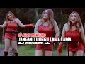 Lagu DJ REMIX JANGAN TUNGGU LAMA LAMA - DJ MENDEM YL
