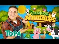 TOPA - CON LOS ANIMALES (Video Oficial)