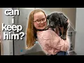 10-Year-Old Has Only 10 Minutes to ADOPT A PUPPY Emotional