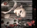 Download Lagu Ku Intai Cinta Dalam Rahsia || JeslinaHashim
