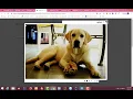 How To Multi purpose jQuery Photo Gallery Plugin mbGallery