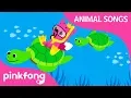 Lagu Under the Sea | Animal Songs | Pinkfong Songs for Children