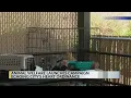 City of Albuquerque reminds residents to spay and neuter their pets