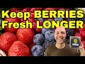HOW TO KEEP BERRIES FRESH LONGER Wash and Store Berries in The Refrigerator