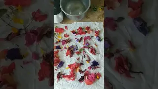 Quick bundle dye