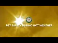 PET SAFETY DURING HOT WEATHER