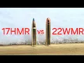 22wmr vs 17hmr If you could only choose one