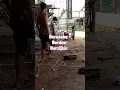 Download Lagu shukuri pekerjaan apapun yg plng penting semangat🤲