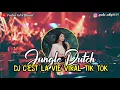 Download Lagu DJ TIK TOK C'EST LA VIE X TAKE AWAY || VIRAL (Officiall Music DJ) JUNGLE DUTCH
