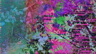 Big Red Machine Birch Feat Taylor Swift Official Lyric Video 