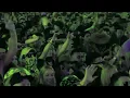 Download Lagu Jauz Remix = Baby Shark x Sandstorm - Darude LIVE @ COACHELLA 2019