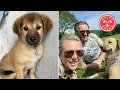 This Street Puppy Has A Miracle Ending
