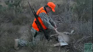 Avoid these Common Deer Season Hunting Violations